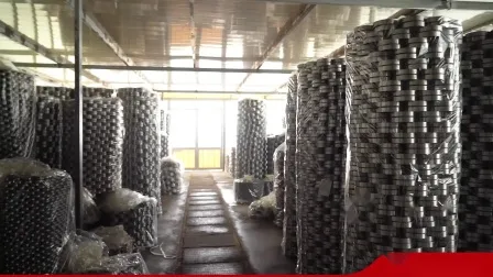 Ceramic Bearing High Temperature and Corrosion Resistant 6204ce